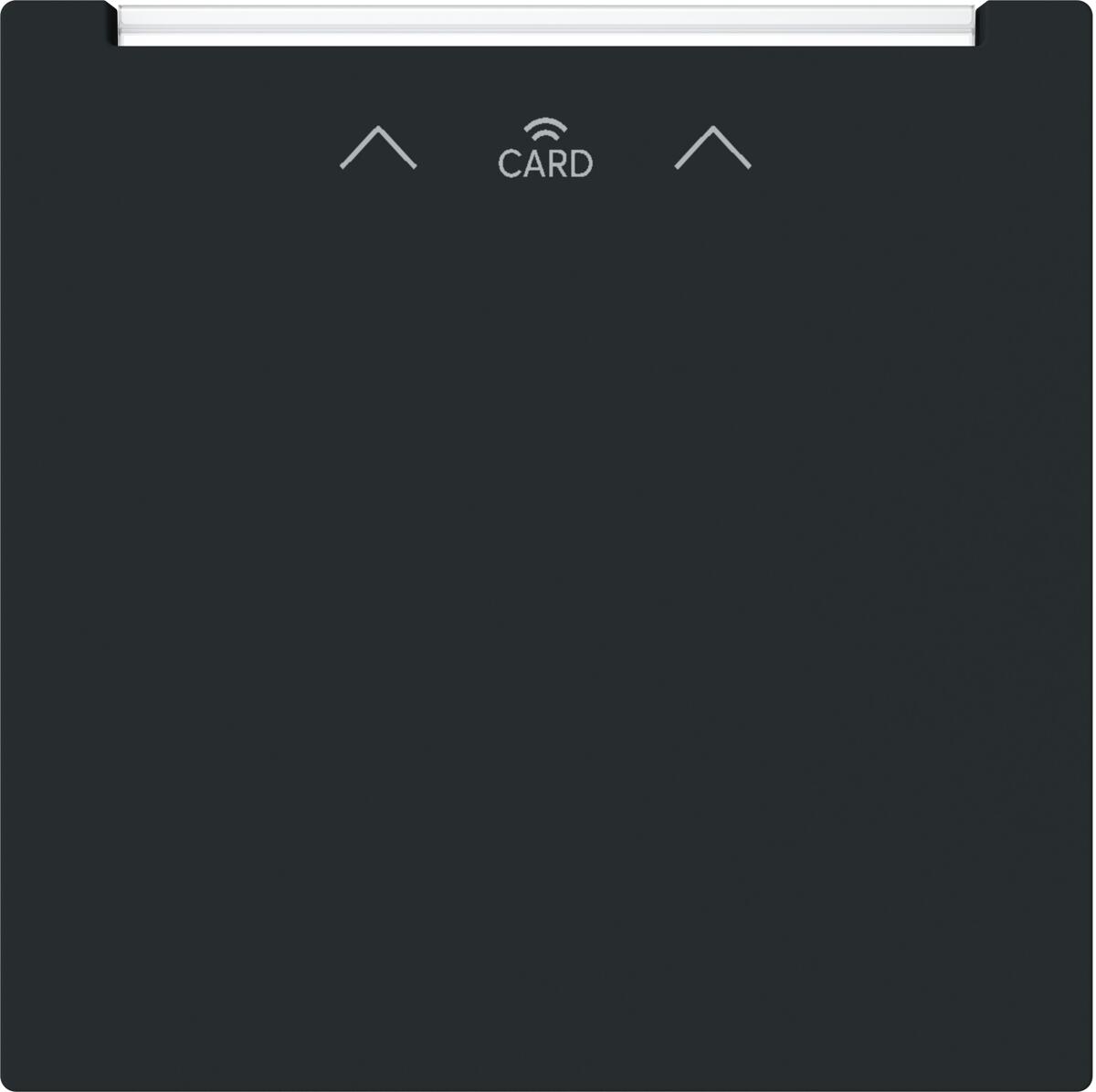 Busch-Jaeger 1792 RFID-45M Zentralscheibe für Cardschalter, Busch-art linear, Symbol Card RFID, schwarz matt (2CKA001710A4247)