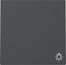 Gira 328528 Wippe mit Lichtsymbol, 1fach, System 55, Anthrazit (lackiert)