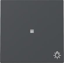 Gira 367428 Wippe mit Lichtsymbol und Kontrollfenster, 1fach, System 55, Anthrazit (lackiert)
