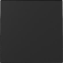 Gira 3296005 Wippe, 1fach, System 55, schwarz matt (lackiert)