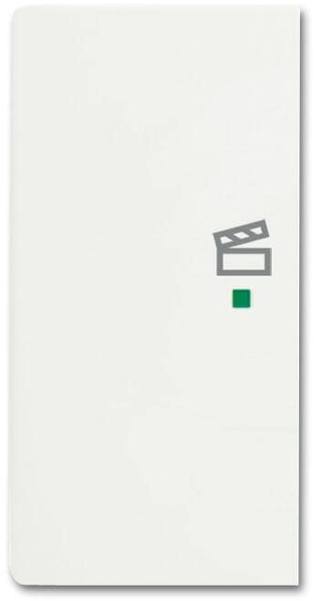 Busch-Jaeger 6233-21-884 Wippe future linear, 2-fach links, mit Symbol "Szene", studioweiß matt (2CKA006220A0489)