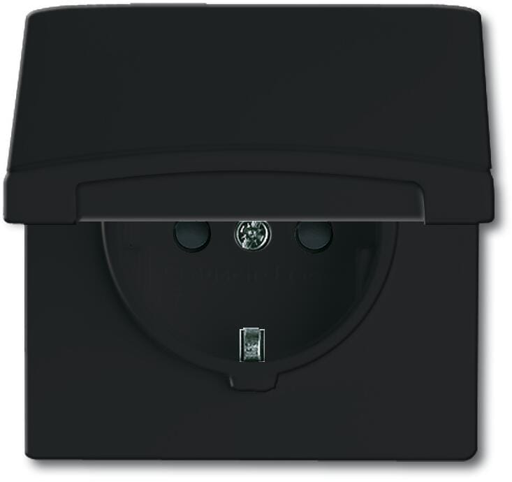 Busch-Jaeger 20 EUGKB-35-101 SCHUKO Steckdosen-Einsatz mit Klappdeckel, Allwetter 44, anthrazit (2CKA002064A0295)