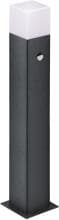 EVN Wegeleuchte mit Dämmerungs- und Bewegungsmelder, 650mm, IP44, 230V, E27, max. 13W, anthrazit