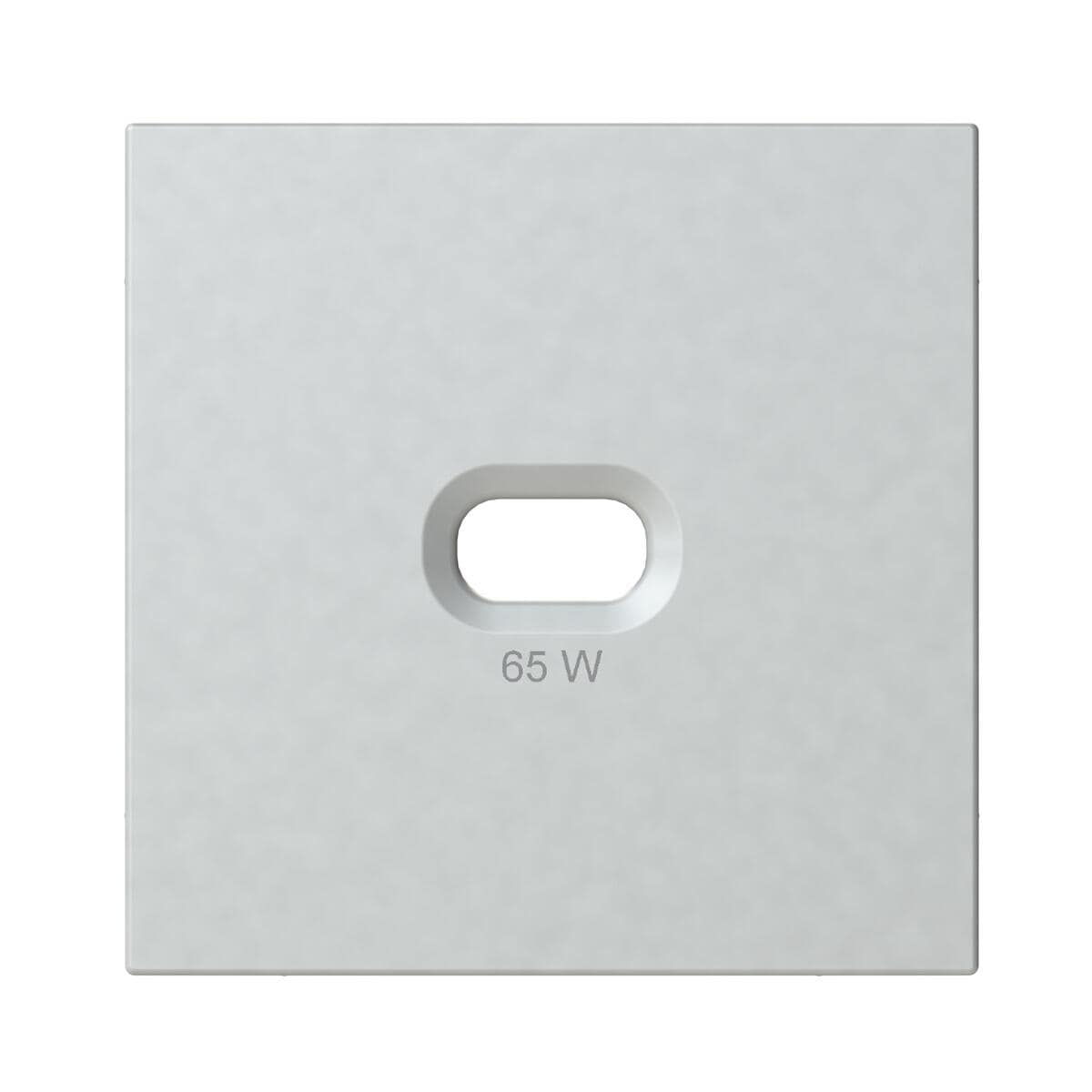 OPUS 55 Abdeckplatte für USB-C Steckdose 65 W alu-silber-seidenglanz (512.912.43)