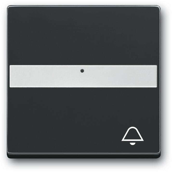 Busch-Jaeger 1764 NLI/KI-885 Wippe mit Beschriftungsfeld, future linear, schwarz matt (2CKA001731A4005)