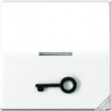 wippe mit abtastbarem Symbol "Tür" und Lichtleiter, alpinweiß, JUNG ABAS591T1KO5WW