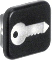 Berker 18223503 Linse mit Aufdruck Symbol Schlüssel, 10er-Set, W.1, transparent