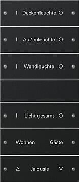 Gira 2206005 Wippenset 6fach (3+3) beschreibbar, System 55, schwarz matt