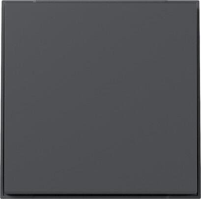 Gira 349667 Wippe, gerade, 1fach, TX_44, anthrazit (lackiert)