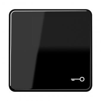 Jung CD590TSW Wippe mit Symbol "Schlüssel", schwarz