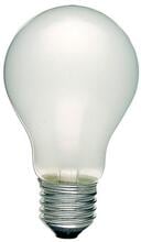Scharnberger & Hasenbein Glühlampe B60x105 E27 24V, matt, 100W, 1010lm (40718)