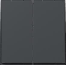 Gira 349567 Wippe, gerade, 2fach, TX_44, anthrazit (lackiert)