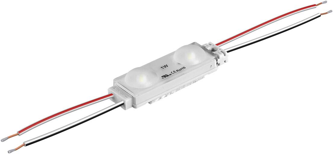 EVN POLPO LED-Modul, IP67, 12V/DC, 1W, 100lm, 2LED, 6500K, weiß (LCB20110)