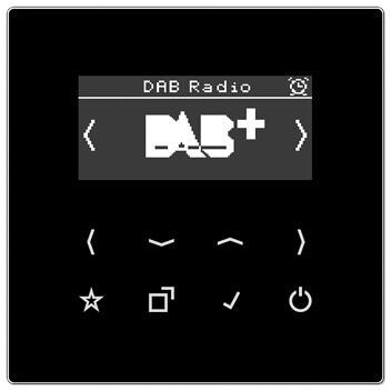 Jung DABLSSW Smart Radio DAB+, DAB Frequenzbereich 174MHz bis 240 MHz, schwarz