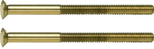 Berker 189512 Zweilochschrauben, 2 x M3,5 x 50 mm, TS, gold glänzend