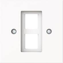 Busch-Jaeger 2561-02-44M Zentralscheibe mit Tragring Modular-Jack-Einsatz, Busch-art linear, 2-fach, studioweiß matt (2CKA001753A9927)