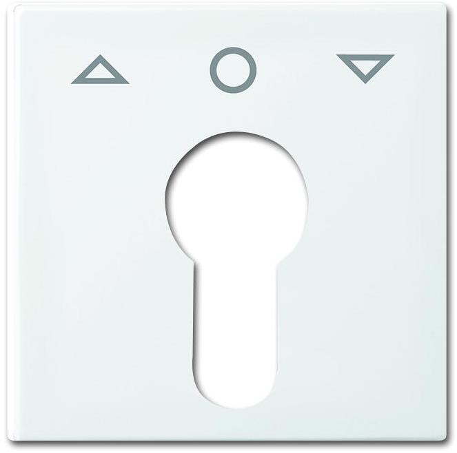 Busch-Jaeger 2557 PZ-914-101 Zentralscheibe mit Aufdruck, Busch-balance Si, alpinweiß (2CKA001710A4069)