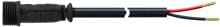 EVN IP65-Stecksystem, Anschlussleitung, 2,5m, 12-24V, 2-pol. (06525022)