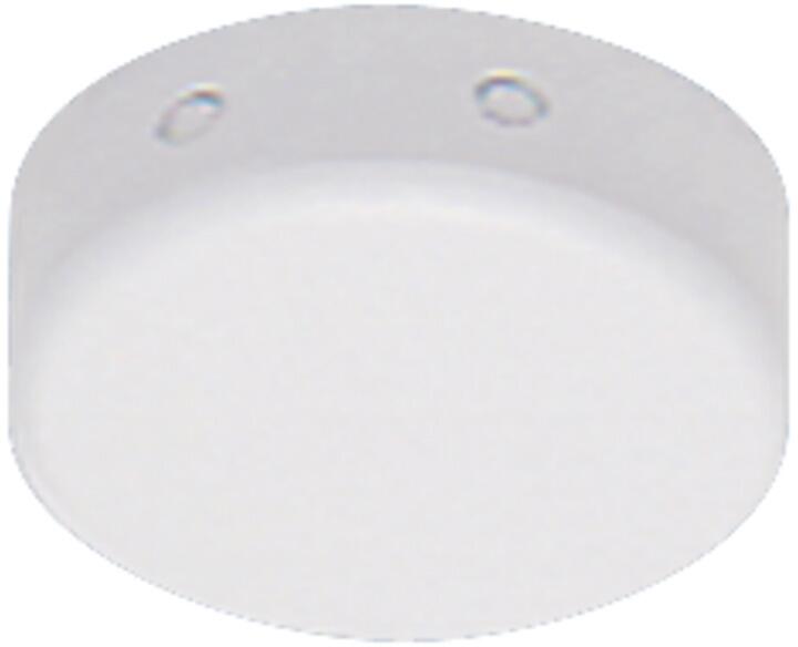 RIDI DAD Deckenauslassdose für Netzleitung 3x1,5qmm, weiß (0201636)