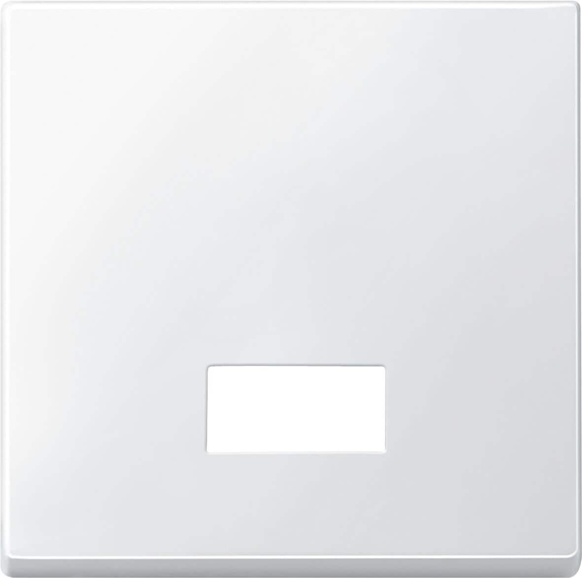 Merten 433819 Wippe mit rechteckigem Symbolfenster, System M, Polarweiß matt