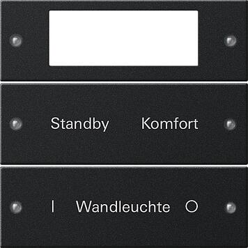 Gira 2212005 Wippenset 2fach Plus beschreibbar, System 55, schwarz matt