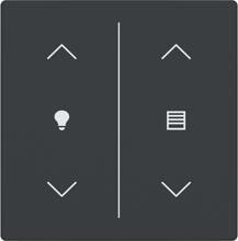 Busch-Jaeger LFDW/A.2.63.11-81 Wippe für Keypad, future® linear, Plattform 63, 2-fach, Symbol Dimmer/Jalousie, anthrazit (2CKA006199A0239)